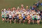 Mens Under-20s, 2024 CAU Inter Counties Cross Country Champs., Wollaton Park, Nottingham. Photo: David T. Hewitson/Sports for All Pics